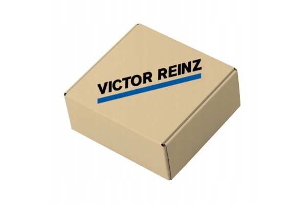 Complete set of engine seals all REINZ 01 36415 02