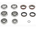 ZEST GEARBOX BEARINGS 462 0153 10 LUK FORD