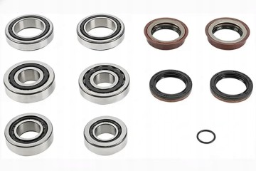 ZEST GEARBOX BEARINGS 462 0153 10 LUK FORD