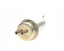 FUEL PRESSURE ACCUMULATOR 0 438 170 004 BOSCH Engine type gasoline