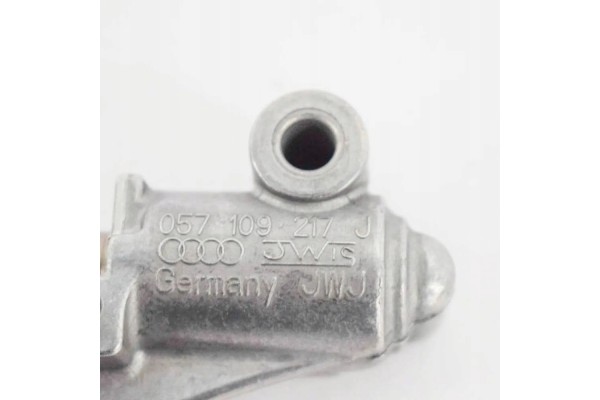 Tensor de Cadena de Distribución Izquierdo AUDI A4 B8 057109217J Orig