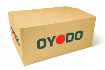 Catalyst Oyodo 10N0102 OYO 10N0102 OYO Car type passenger cars