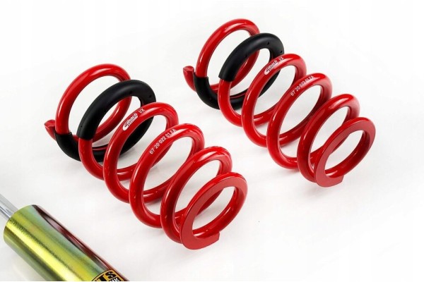 MTS Technik Eibach Thread Suspension Lexus IS 2 Lexus GS Packaging status original