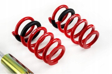 MTS Technik Eibach Thread Suspension Lexus IS 2 Lexus GS Packaging status original