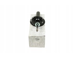 OE SHOCK ABSORBER FRONT RENAULT MEGANE III SPORT 543020054R