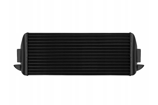INTERCOOLER BMW F20 F30 F32 N13 N20 N55 FMIC Catalog number of the part IC BMW F20