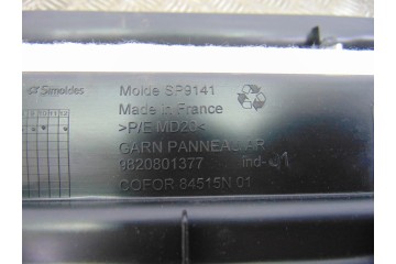 9820801377 GUARNECIDO PORTON TRASERO DS 3 CROSSBACK