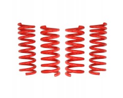 Eibach E20 25 002 01 22 Suspension kit springs