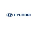 Roof antenna Hyundai I30 Part manufacturer Hyundai OE