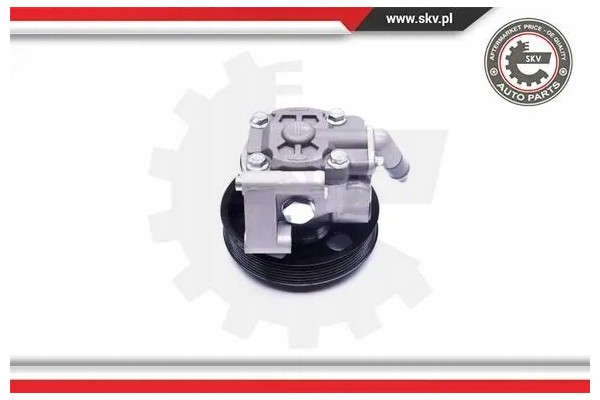 POWER STEERING PUMP 10SKV038 ESEN SKV FORD Packaging status original
