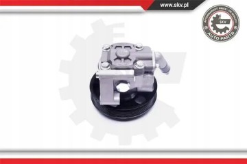 POWER STEERING PUMP 10SKV038 ESEN SKV FORD Packaging status original