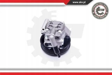 POWER STEERING PUMP 10SKV038 ESEN SKV FORD Part manufacturer ESEN SKV