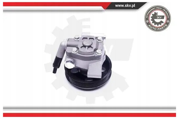 POWER STEERING PUMP 10SKV038 ESEN SKV FORD Catalog number of the part 10SKV038