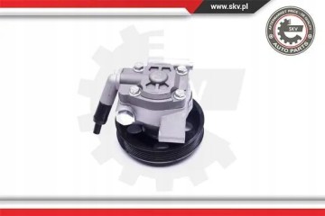 POWER STEERING PUMP 10SKV038 ESEN SKV FORD Catalog number of the part 10SKV038