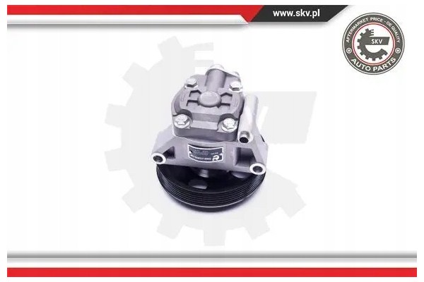 POWER STEERING PUMP 10SKV038 ESEN SKV FORD Car type passenger cars