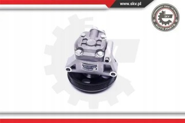 POWER STEERING PUMP 10SKV038 ESEN SKV FORD Car type passenger cars
