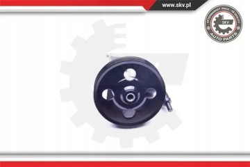 POWER STEERING PUMP 10SKV038 ESEN SKV FORD Product weight with unit packaging 6 kg