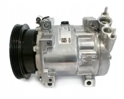Compresor de Aire Acondicionado Renault SD7V16-1189 / 8200625229