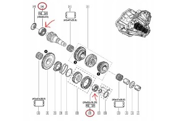 GEARBOX BEARINGS PF6 TRAFIC II VIVARO ORIGINAL Car type cargo vans passenger cars