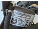 Calefactor Webasto Thermo Top EVO para Citroën Berlingo, Peugeot 508,