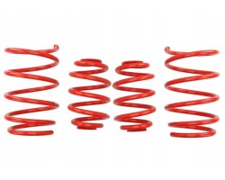 EIBACH E20 20 004 02 22 lowering spring