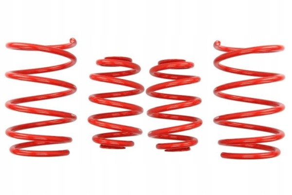 EIBACH E20 20 004 02 22 lowering spring