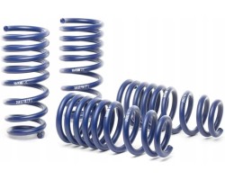 Set of lowering springs H R 28711 2