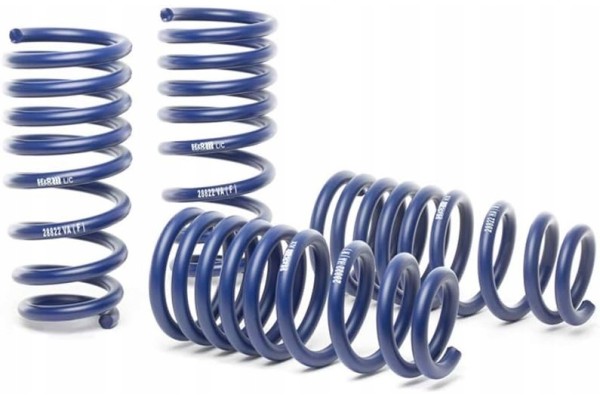 Set of lowering springs H R 28711 2