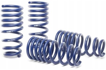 Set of lowering springs H R 28711 2