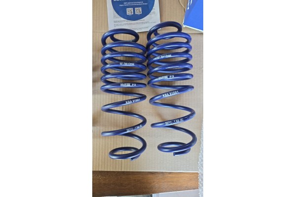 Set of lowering springs H R 28711 2 EAN GTIN 4048419281470