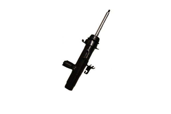 SHOCK ABSORBER BMW 1 L Catalog number of the part C2524L