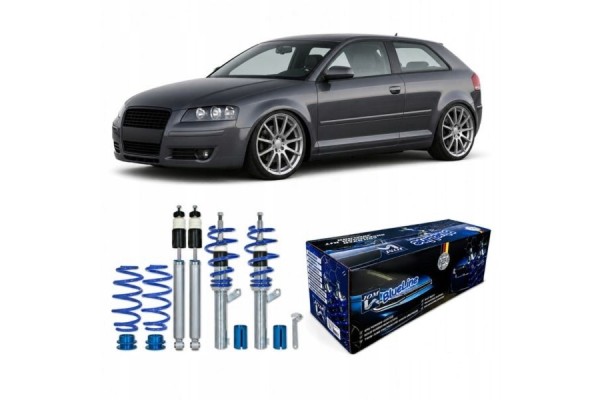 AUDI A3 8P 03 12 TFSI DSG TDI THREADED SUSPENSION