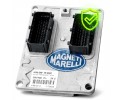 IAW 5NF Fiat Doblo engine controller Panda Punto WARRANTY