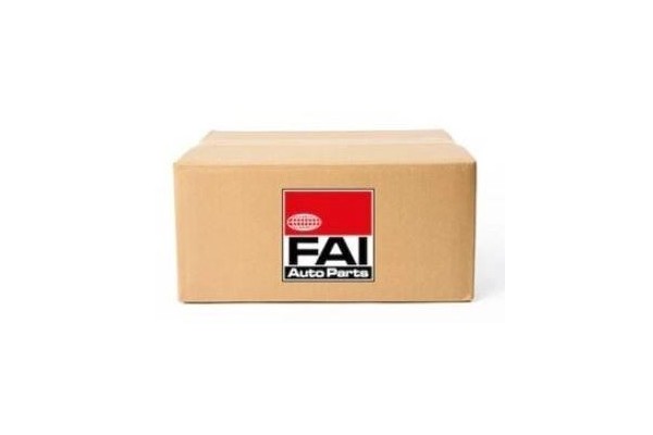 BMW TIMING CHAIN KIT