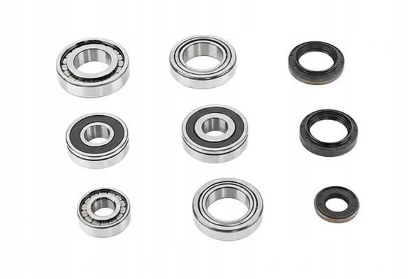 ZEST GEARBOX BEARINGS 462 0154 10 LUK FIAT