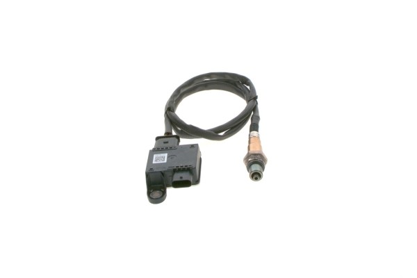 Particulate sensor