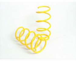 APEX LOWERING SPRINGS front 30mm BMW F30 sedan