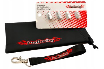 ProRacing chip tuning for Toyota RAV4 2 0 2 2 D 4D Car type passenger cars cargo vans