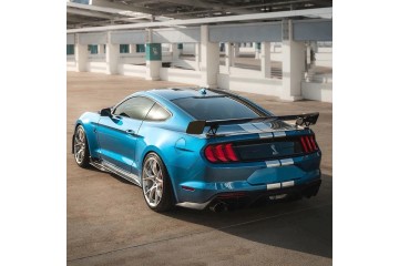 Rear Flap Spoiler Shelby GT500 Wing 2015 2023 Car type passenger cars