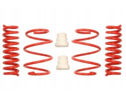 Lowering spring EIBACH E20 20 030 01 22