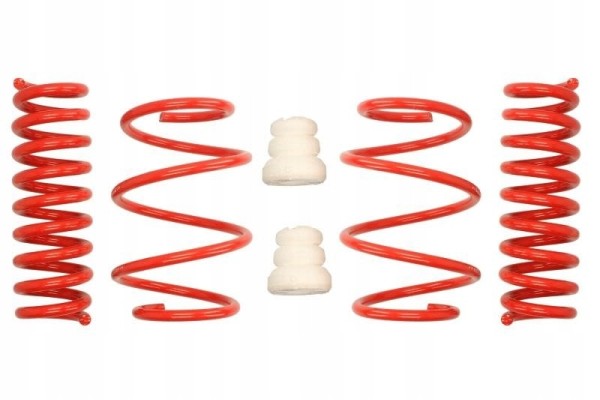 Lowering spring EIBACH E20 20 030 01 22