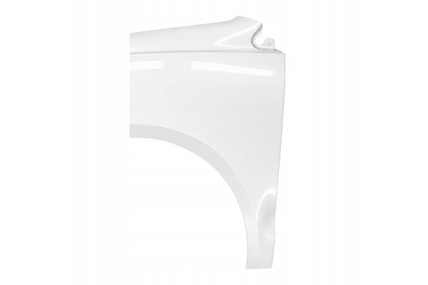 Mudguards VW POLO 9N3 Left Right LB9A 05 09 New Lacquered Set Car type passenger cars