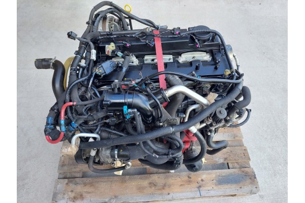 ENGINE 3 2 TDCI ENSA EURO 6 FORD RANGER V LIFT 2019 R Engine type diesel