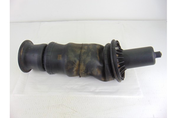 E310190021  AMORTIGUADOR DELANTERO IZQUIERDO LAND ROVER RANGE ROVER (LP) HSE (165kW) 1995 E310190021 202885 LAND ROVER - 1