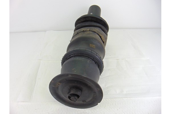 E310190021  AMORTIGUADOR DELANTERO IZQUIERDO LAND ROVER RANGE ROVER (LP) HSE (165kW) 1995 E310190021 202885 LAND ROVER - 3