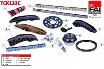 FAI AutoParts TCK133C Timing Chain Kit TCK133C Quality of parts according to GVO Q original with factory logo OEM OES