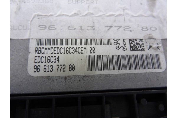 9661377280 CENTRALITA MOTOR UCE PEUGEOT 307 BERLINA (S2)