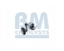Catalyst BM CATALYSTS BM91170H Car type passenger cars
