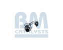 Catalyst BM CATALYSTS BM91170H Product weight 2 91 kg