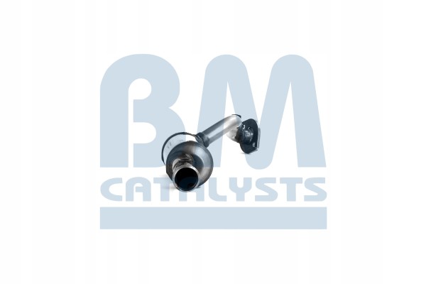 Catalyst BM CATALYSTS BM91170H Product weight 2 91 kg
